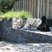Wallblock Tumbled